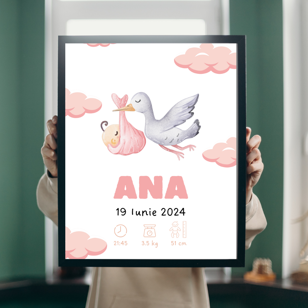 Rama Personalizata - Welcome Baby #D004