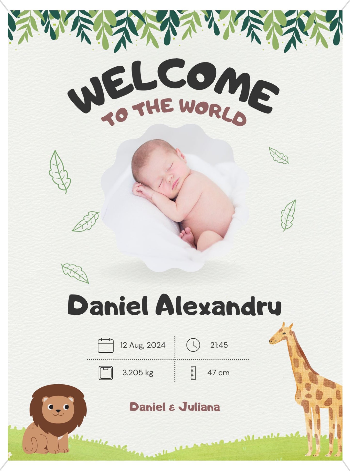 Rama personalizata - Welcome Baby #D007
