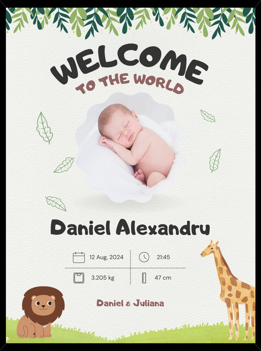 Rama personalizata - Welcome Baby #D007