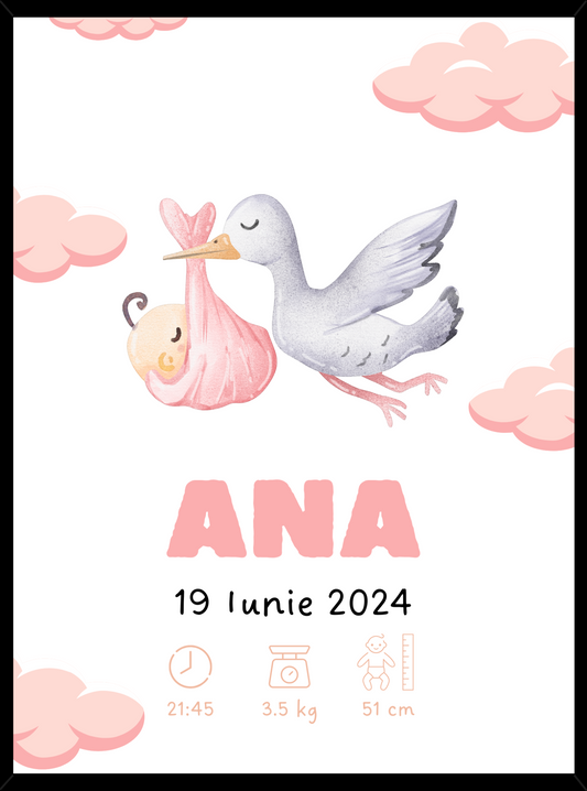 Rama Personalizata - Welcome Baby #D004